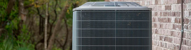 blog01_681.jpg blog01_681.jpg