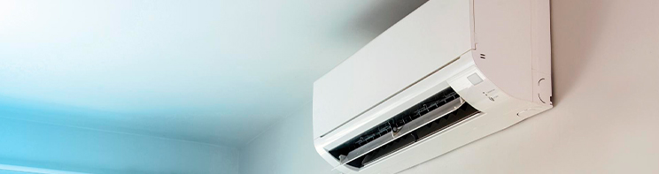 mural_351.jpg mural_351.jpg