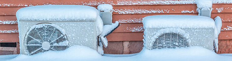 protege_371.jpg protege_371.jpg